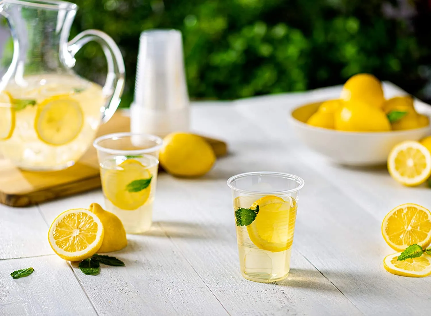 9 oz. Clear Disposable Plastic Drinking Cups
