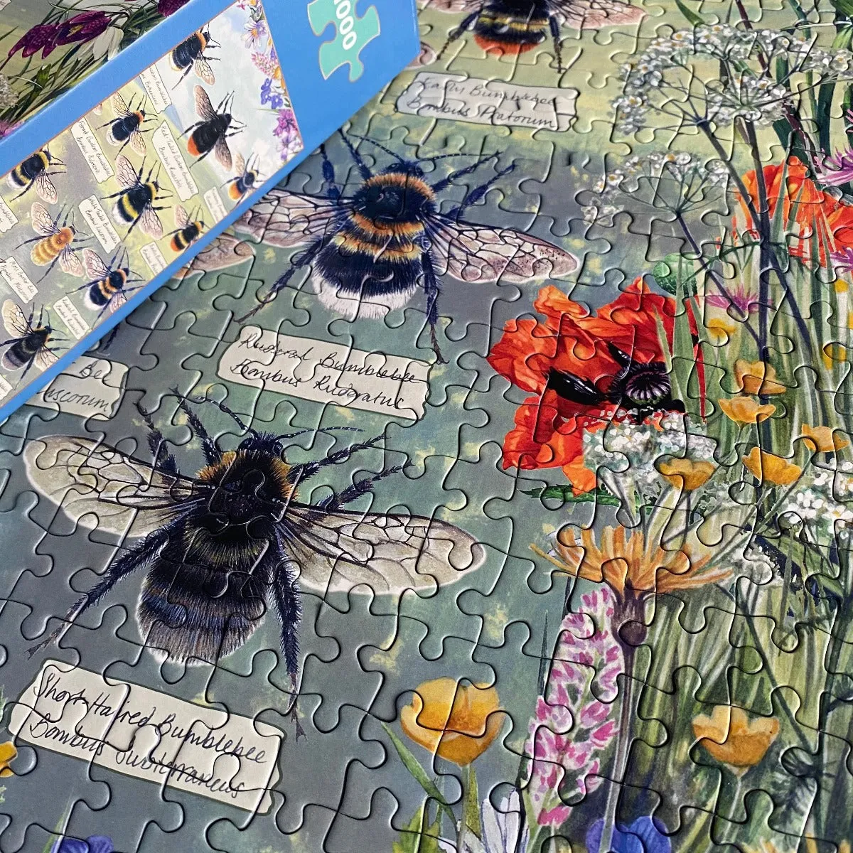 Brilliant Bees