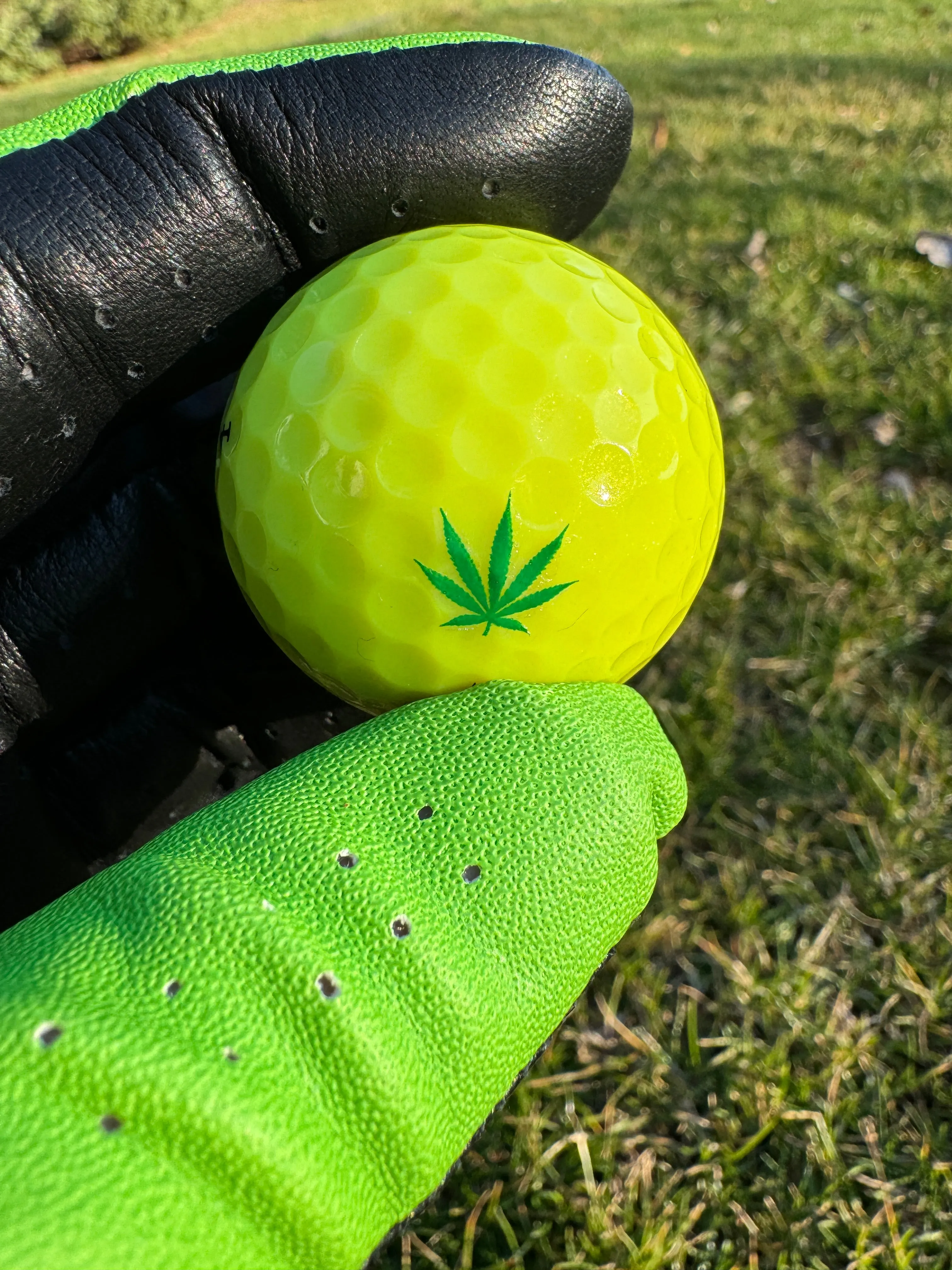 Classic Hemp Leaf