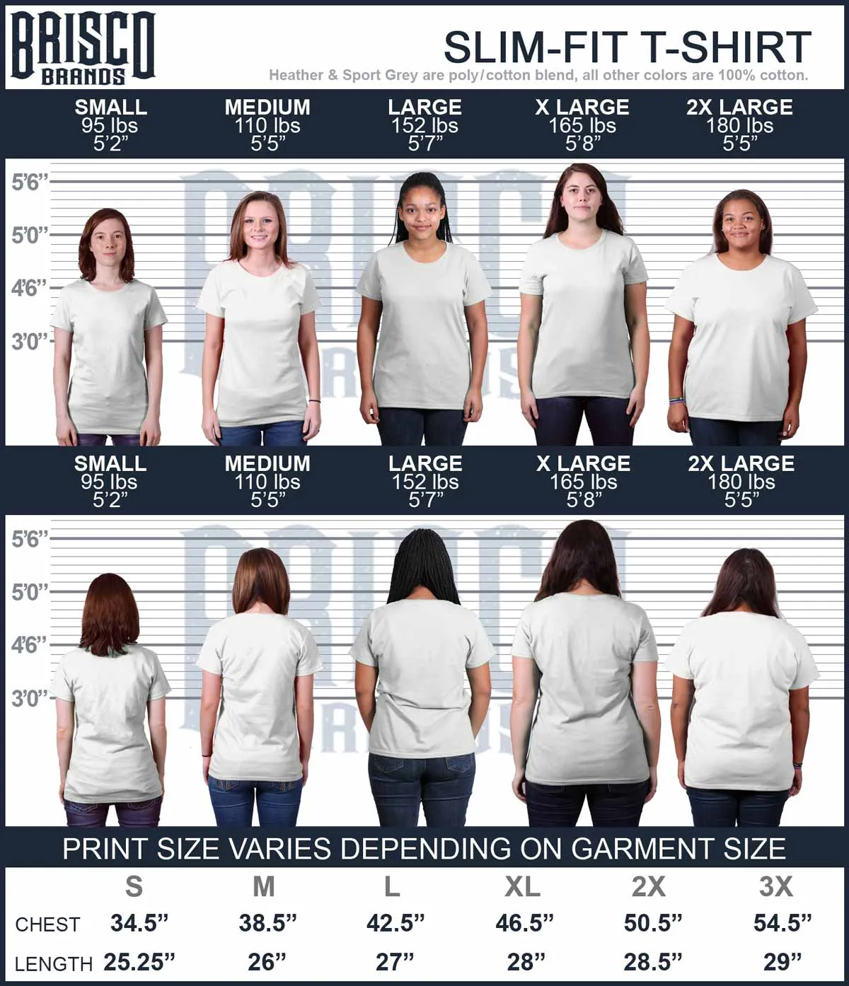 Dog Carrier Ladies T-Shirt
