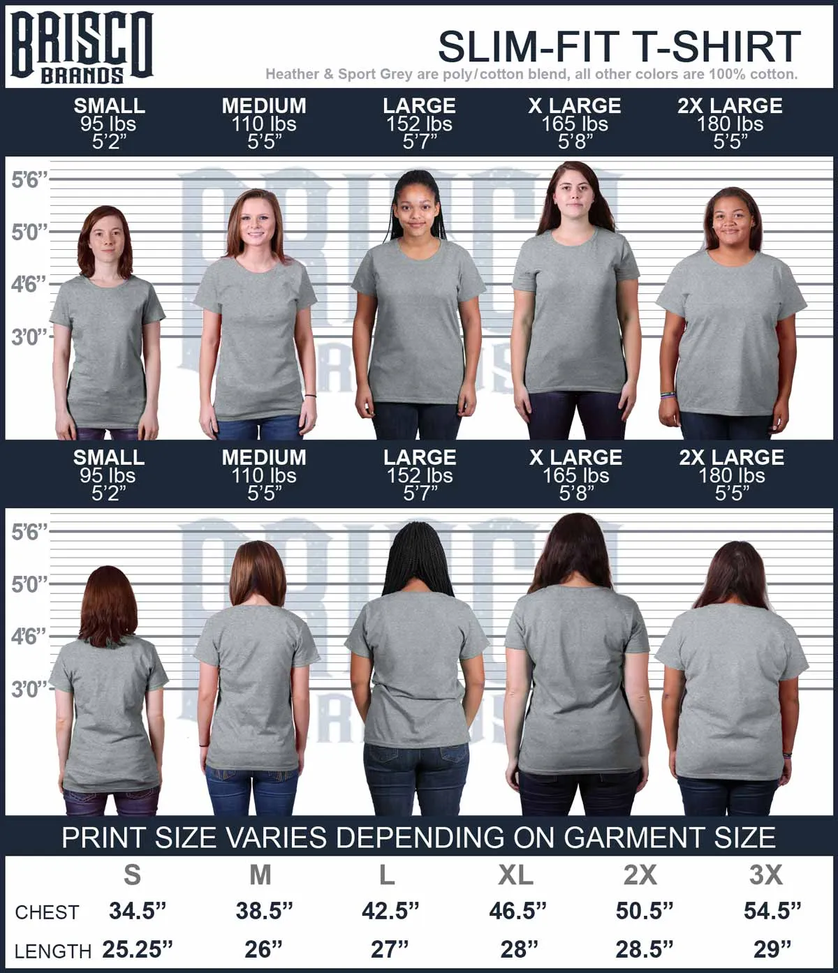 Dog Carrier Ladies T-Shirt