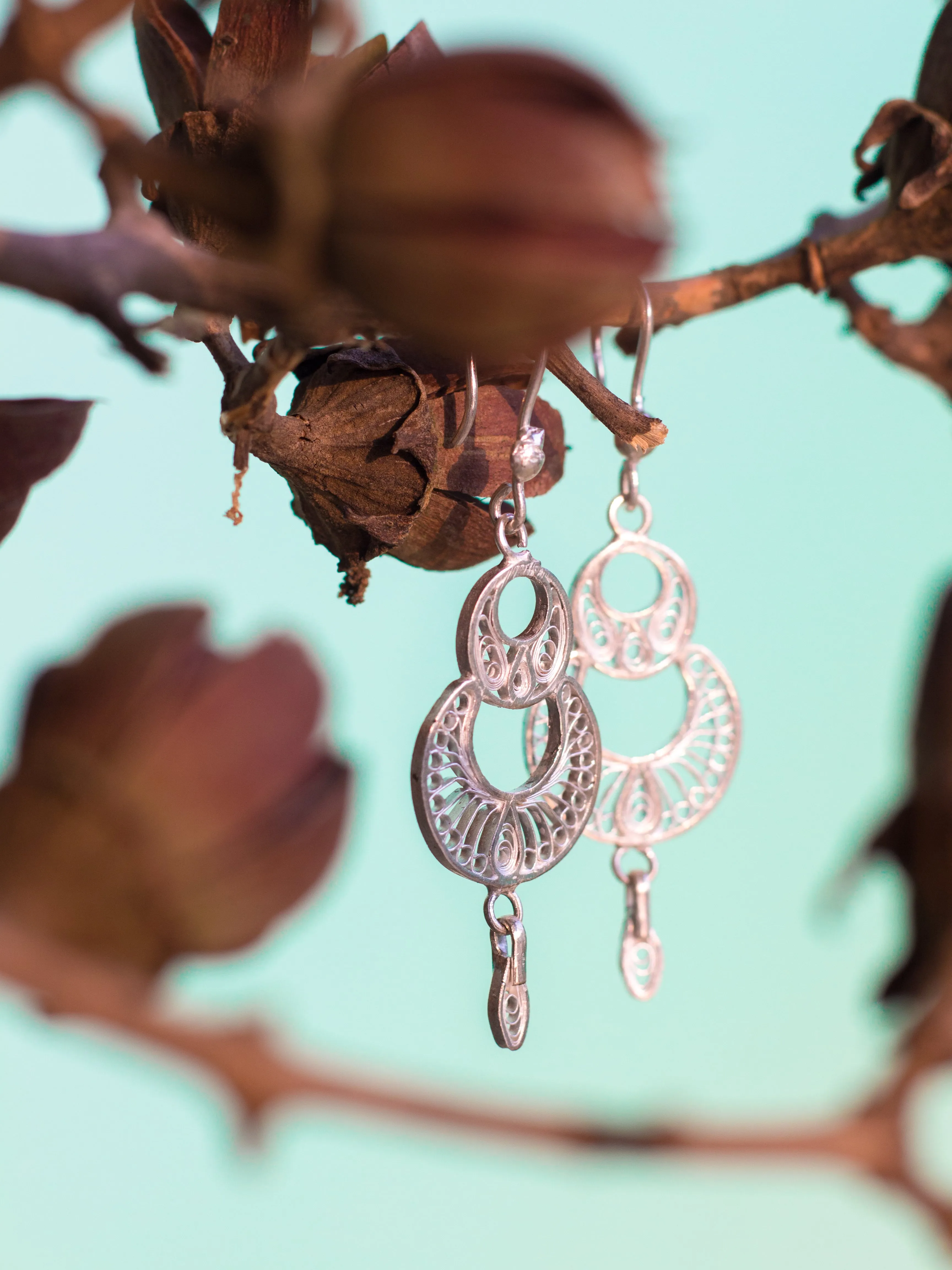 Elegant danglers