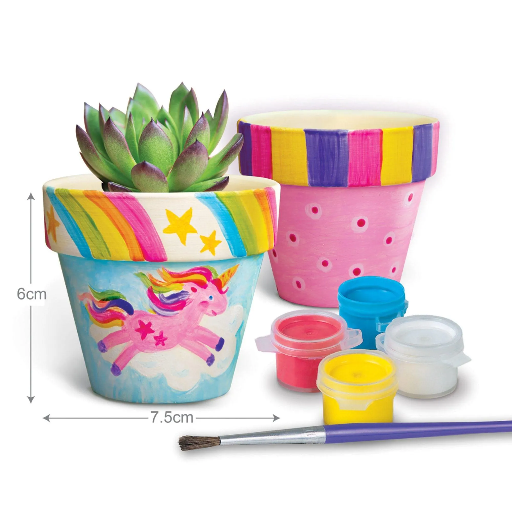 Great Gizmos STEAM Powered Kids Magical Garden