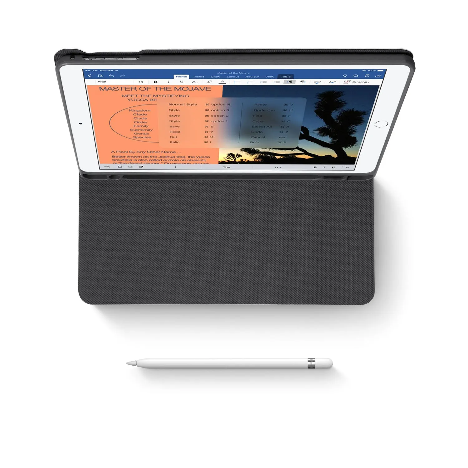 iPad Folio Case - Music