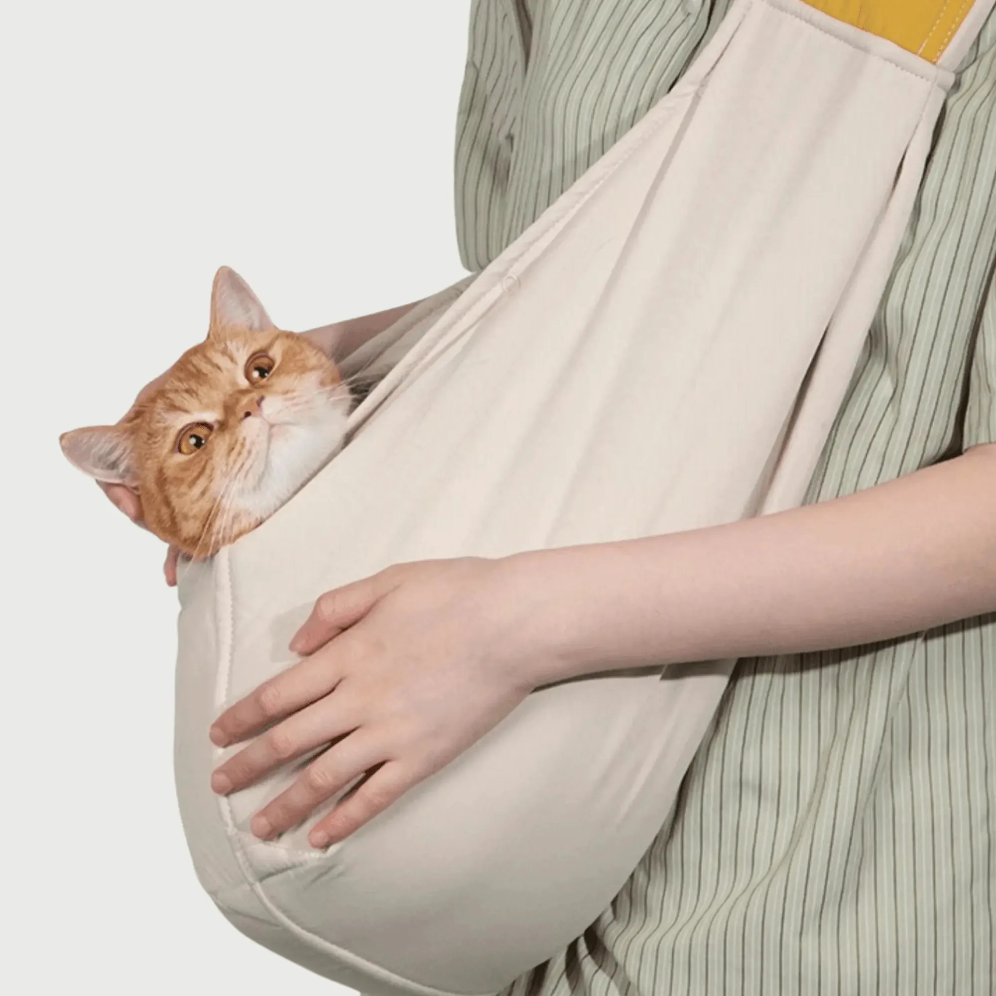 Kangaroo Carrier