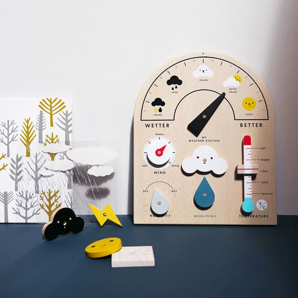 Moon Picnic My Weather Station