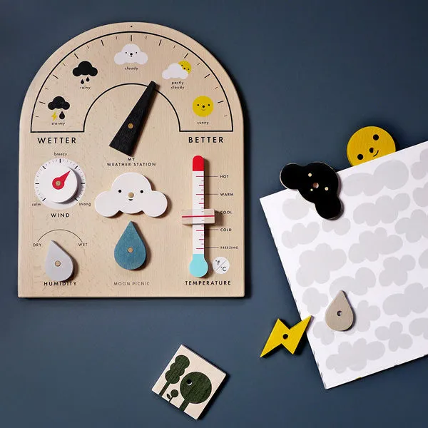 Moon Picnic My Weather Station