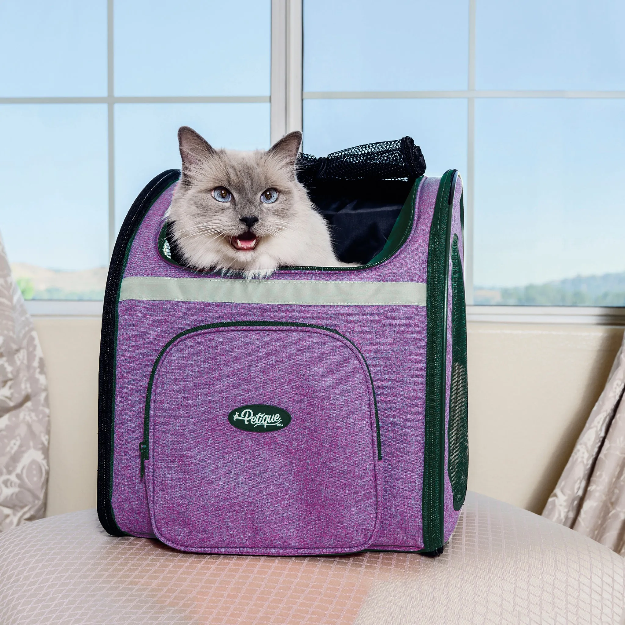 The Backpacker Pet Carrier - Coral