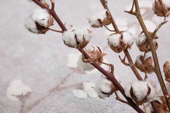 Washable cotton rug "cotton bolls"